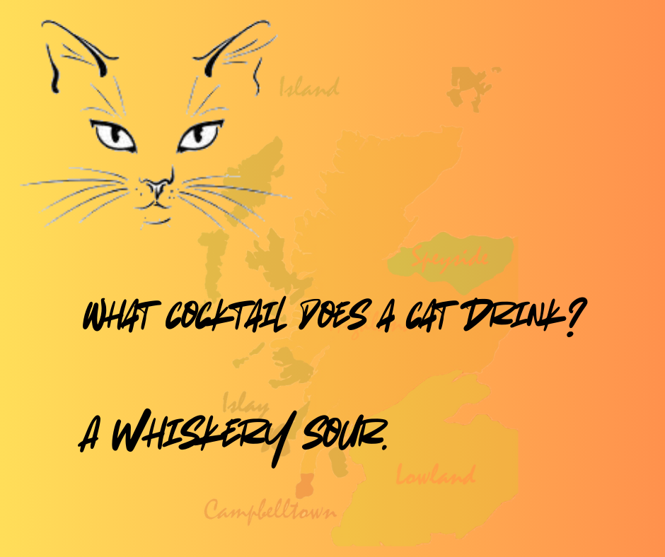 A whisky joke. What cocktail does a cat drink? A Whiskery sour.